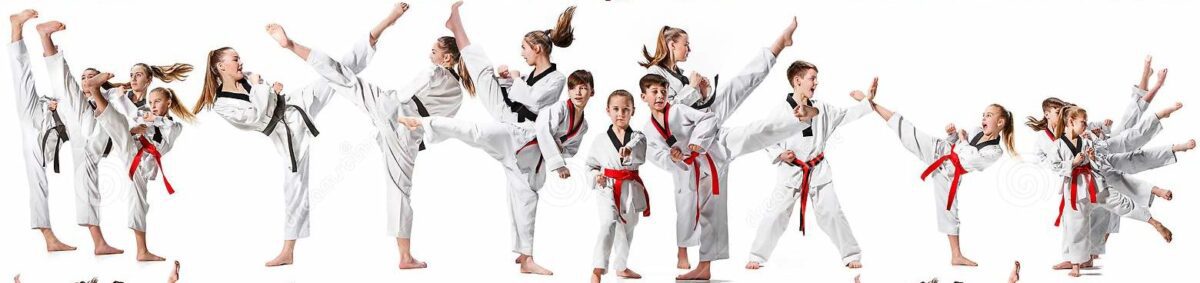 sport coaching martial arts