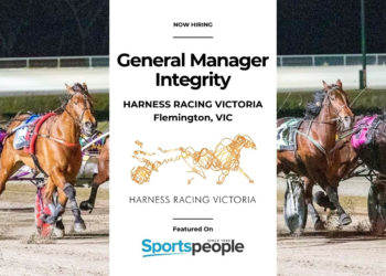 integrity manager sports jobs